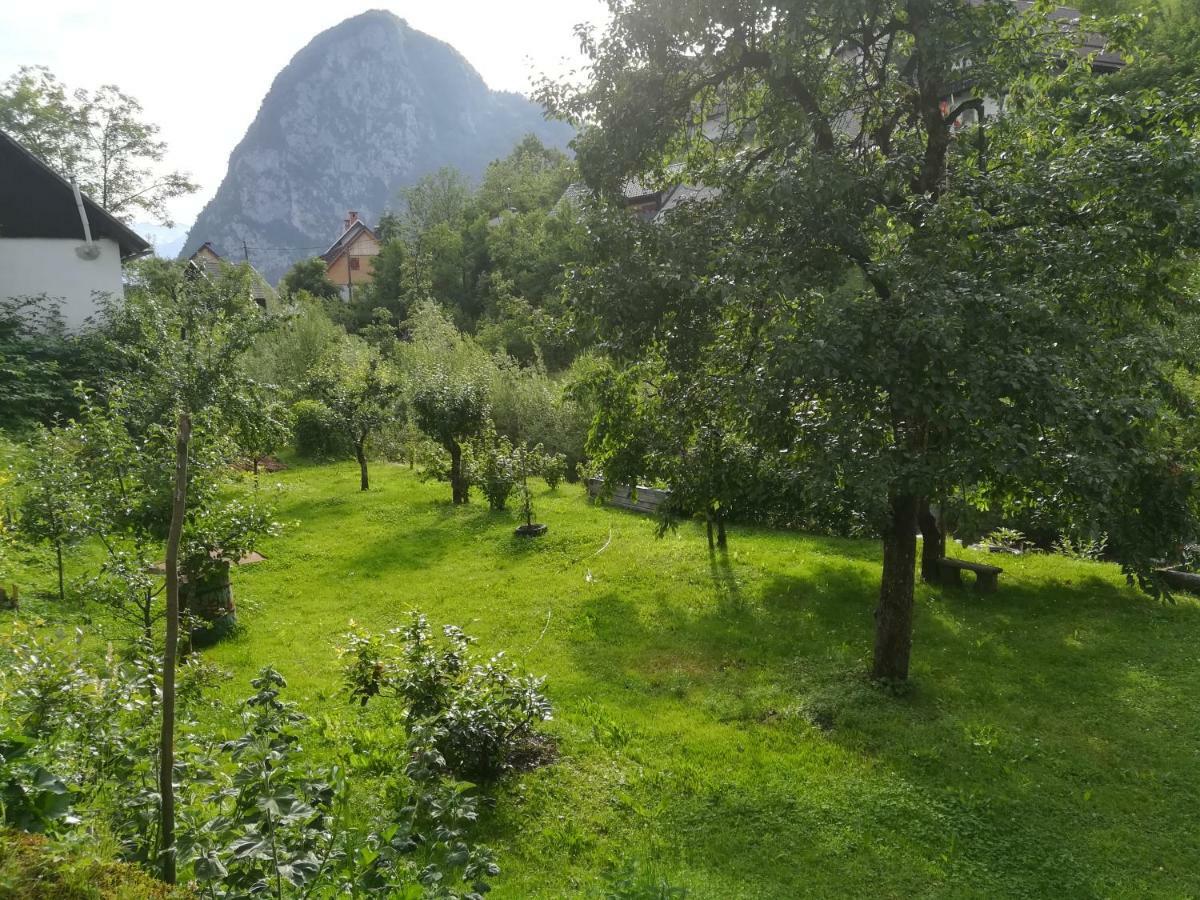 Apartma Pr Pekovcu Bohinj Eksteriør bilde
